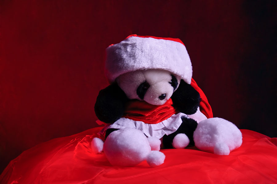 Weihnachtskarte - Pandabär